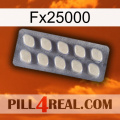 Fx25000 08